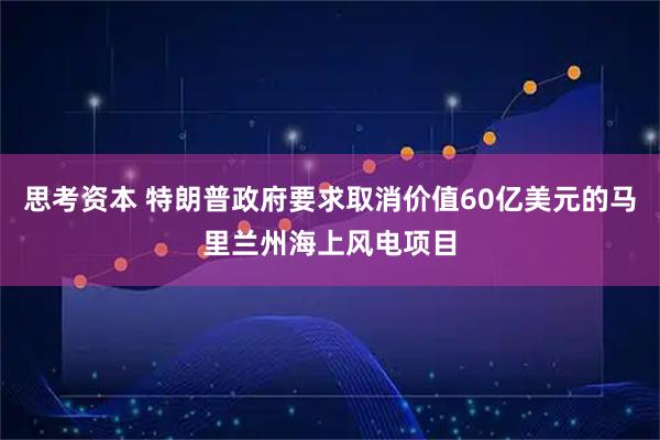 思考资本 特朗普政府要求取消价值60亿美元的马里兰州海上风电项目