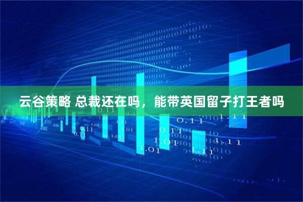 云谷策略 总裁还在吗，能带英国留子打王者吗