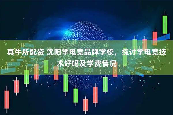 真牛所配资 沈阳学电竞品牌学校，探讨学电竞技术好吗及学费情况