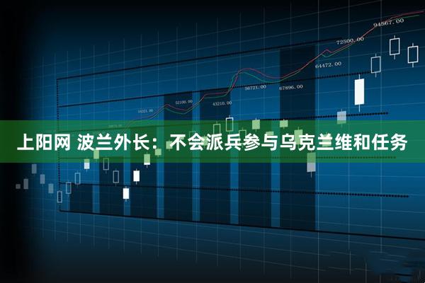 上阳网 波兰外长：不会派兵参与乌克兰维和任务