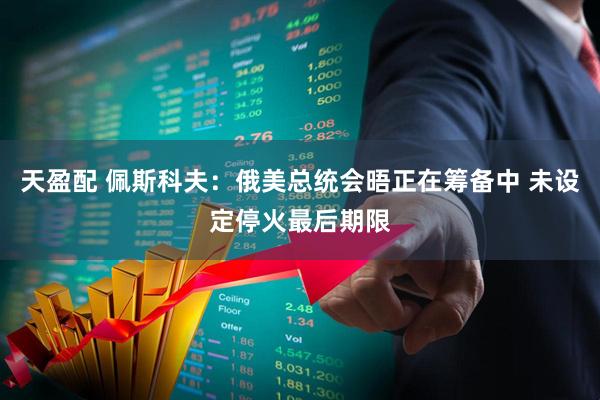 天盈配 佩斯科夫：俄美总统会晤正在筹备中 未设定停火最后期限