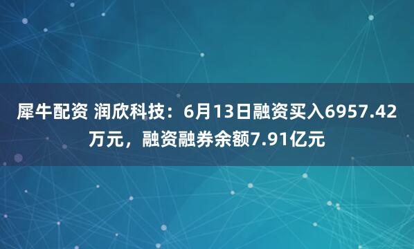 犀牛配资 润欣科技：6月13日融资买入6957.42万元，融资融券余额7.91亿元